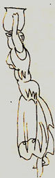 Dibujo de Miler